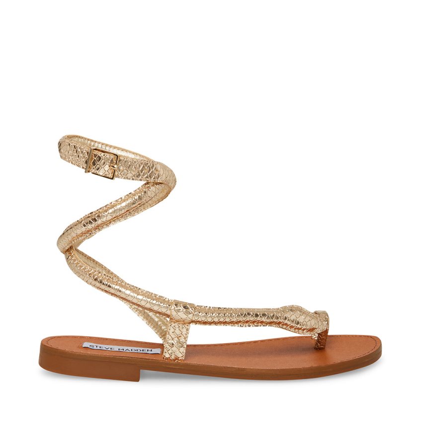 Gold Steve Madden Scales Snake Women\'s Flat Sandals | PH 0875GYH